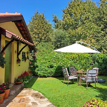 Quinta De Carcavelos Agroturismo E Enoturismo Celorico De Basto Eksteriør billede