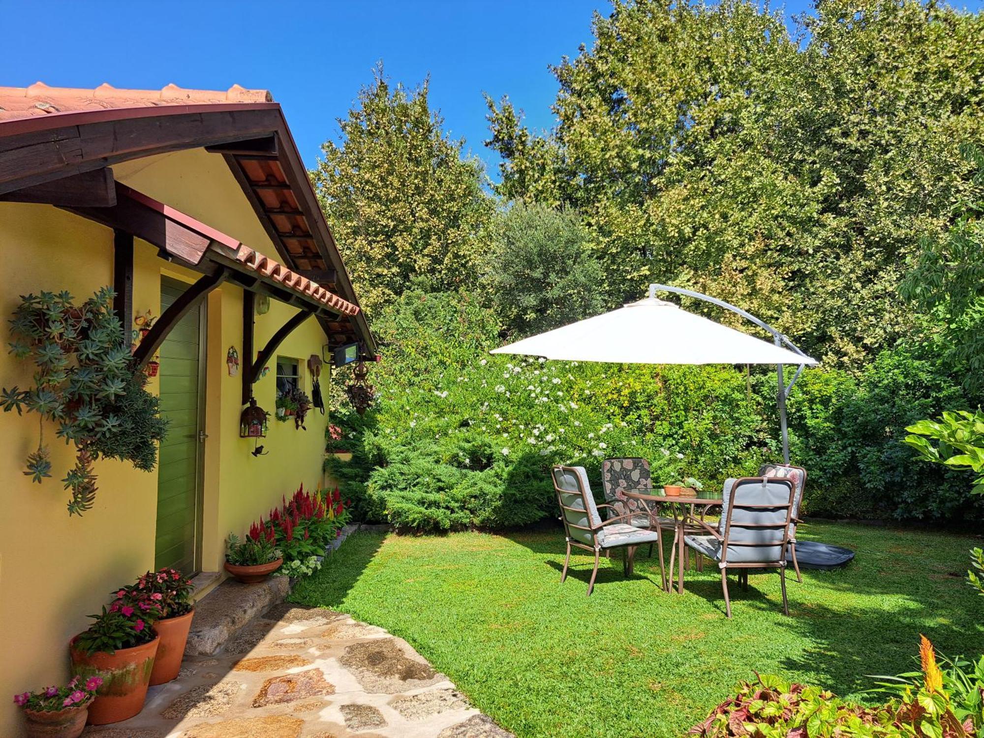 Quinta De Carcavelos Agroturismo E Enoturismo Celorico De Basto Eksteriør billede